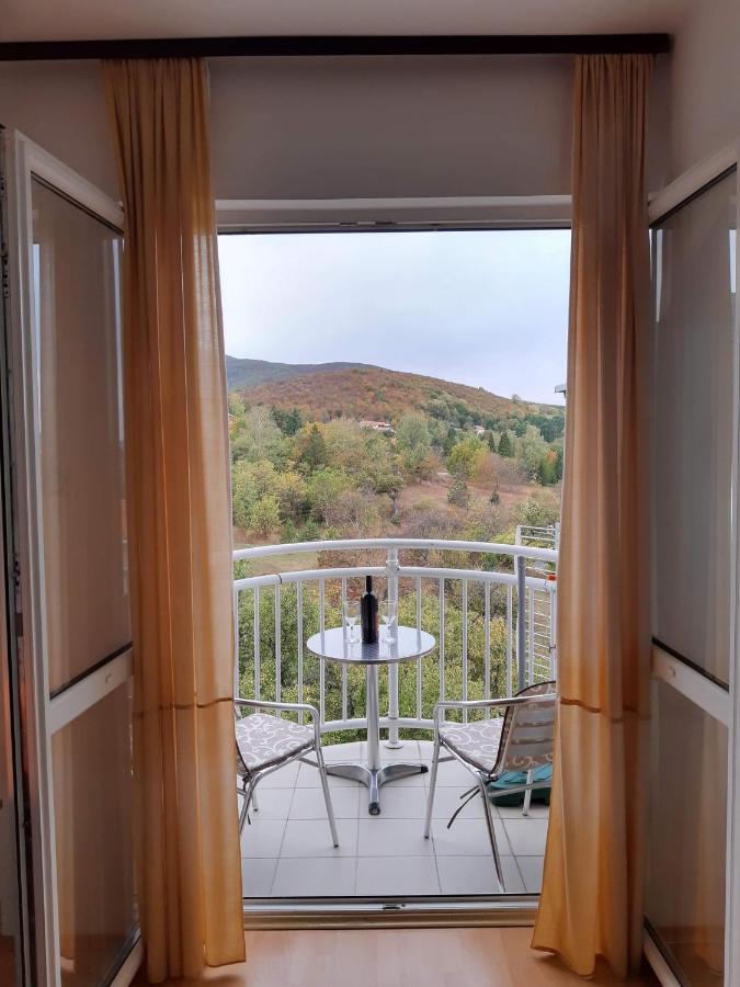 Sky Apartman Сокобаня Екстер'єр фото