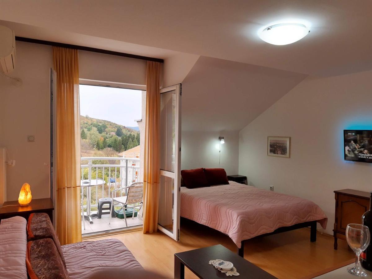 Sky Apartman Сокобаня Екстер'єр фото