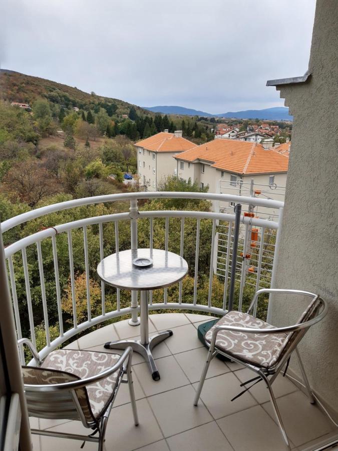 Sky Apartman Сокобаня Екстер'єр фото