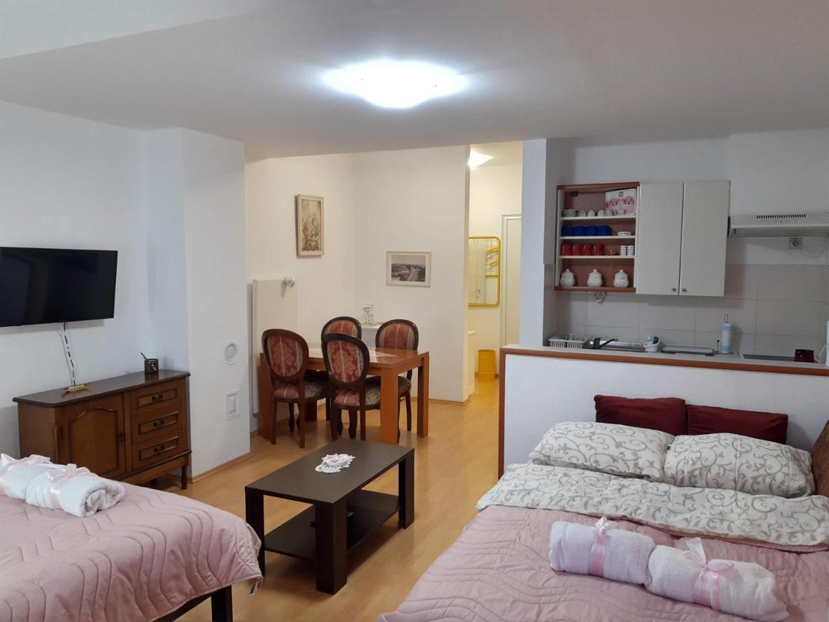 Sky Apartman Сокобаня Екстер'єр фото